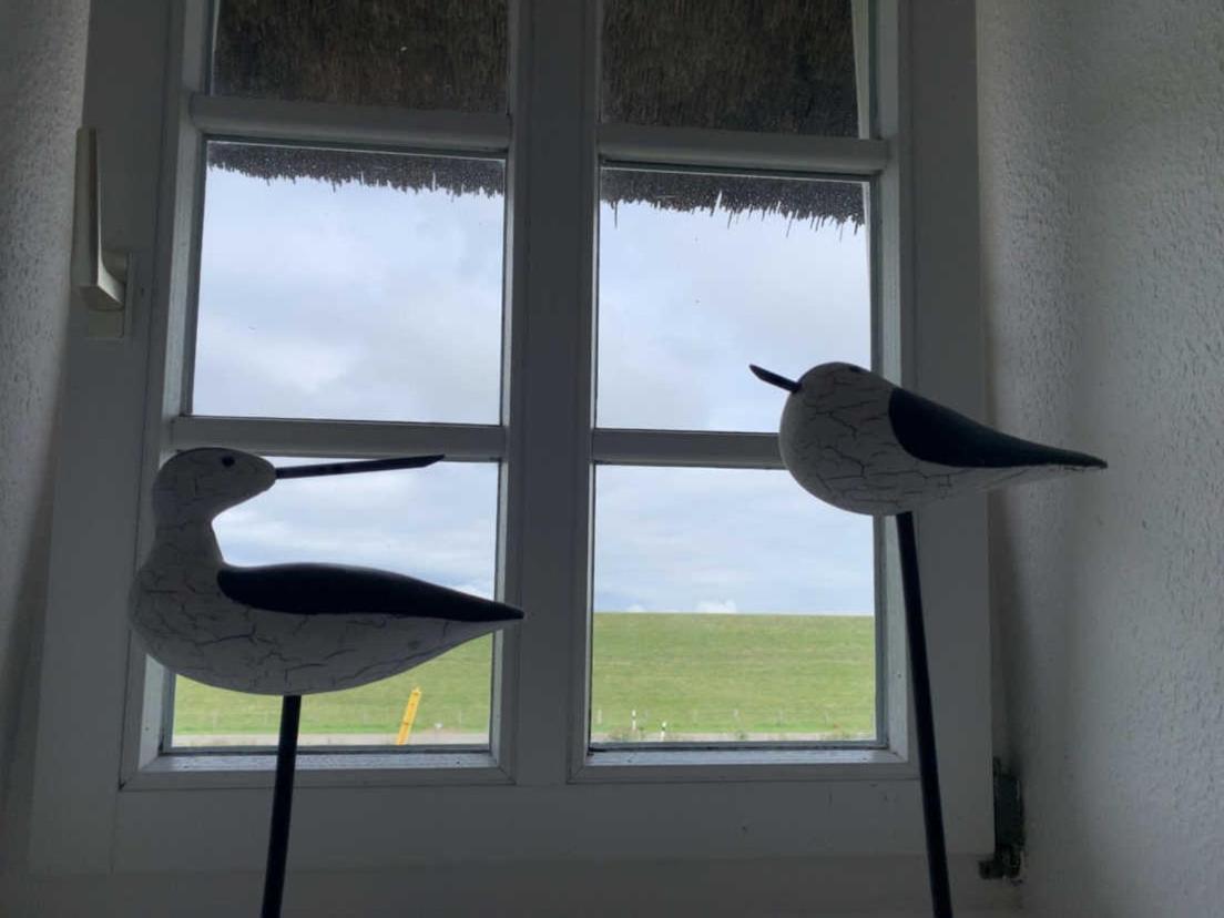 Friesenhof Windfang Villa Nordstrand Eksteriør billede